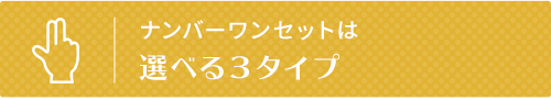 選べる３タイプ